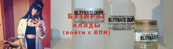 шишки Осташков