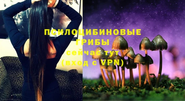 mdpv Пестово