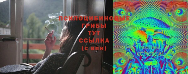 jwh Гатчина