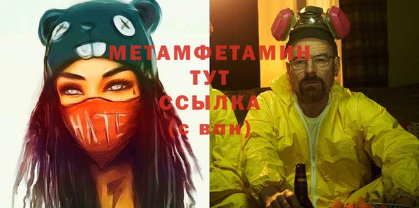 шишки Осташков