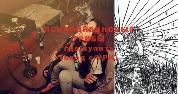 мескалин Осинники