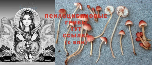jwh Переславль-Залесский