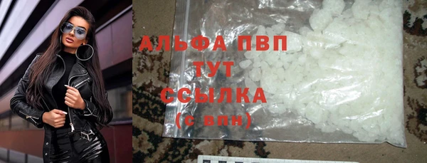 шишки Осташков