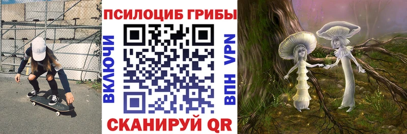 Псилоцибиновые грибы мицелий  Апатиты 