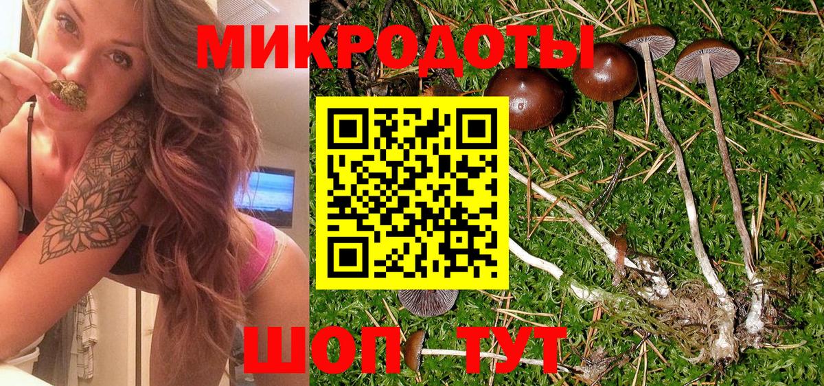 Галлюциногенные грибы Magic Shrooms Апатиты