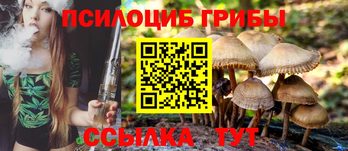 купить наркоту  Псилоцибиновые грибы прущие грибы  Вход с VPN  Апатиты  Псилоцибиновые грибы Psilocybine cubensis 