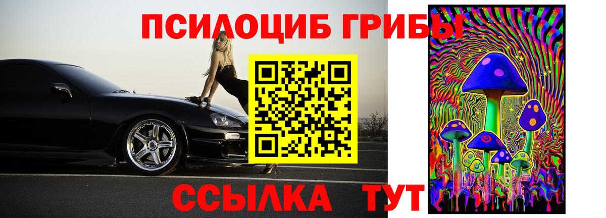 Галлюциногенные грибы ЛСД  Апатиты  что такое   Галлюциногенные грибы Psilocybe 