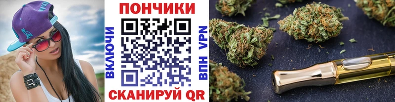 MEGA ссылка  Апатиты  Канабис сатива  закладка 